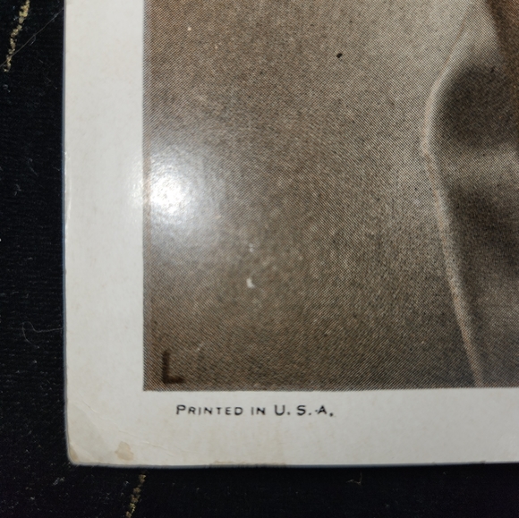 Shirley Temple Reprint Photo - Picture 3 of 3